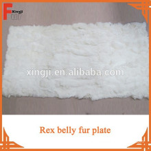 Rex rabbit belly plate